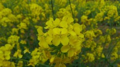 【お題日記】今年入って何人とHした？