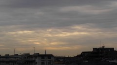 【お題日記】お昼休憩にすること