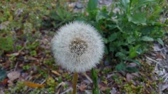 【お題日記】下心をどう隠すか