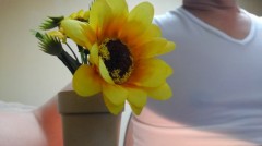 【お題日記】職質受けたことある？