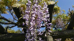 【お題日記】最近知ったHな用語は？