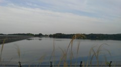 【お題日記】好きなテーマパーク