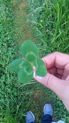 【お題日記】苦手なスポーツ、得意なスポーツ