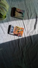 【お題日記】セックスアピール