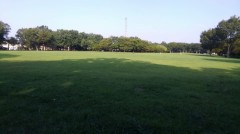 【お題日記】アンビリバボーな出来事