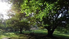 【お題日記】1人飲みってする？