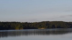 【お題日記】買い物した後レシートどうしてる？