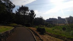 【お題日記】長距離・短距離どっちが得意？