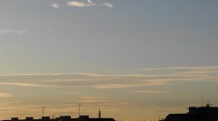 【お題日記】私のカレーにかかせないトッピング