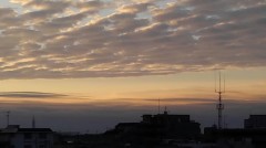 【お題日記】最近CD買った？