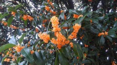 【お題日記】眠れない時はどうしてる？