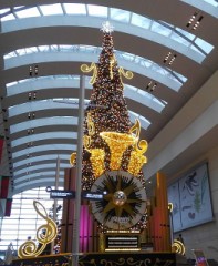 【お題日記】成功した告白のセリフ教えて