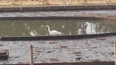 【お題日記】美味しすぎて箸が止まらないものある？