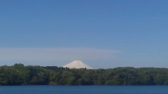 【お題日記】もう1度見たい映画はある？