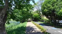 【お題日記】また見たい映画ってある？