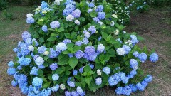 【お題日記】性欲落ちてない？