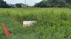 【お題日記】ASMR好き？