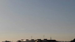 【お題日記】占い師に占ってもらった経験