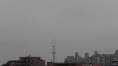 【お題日記】メールや電話等で告白されたことある？