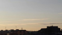 【お題日記】骨折した経験ありますか？