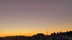 【お題日記】食後食べたいデザートは？