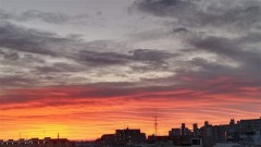 【お題日記】今年のクリスマスはどう過ごされてますか？