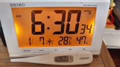 【お題日記】2回目はないかなと思う仕草