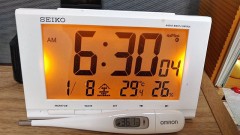 【お題日記】ご飯・おかず、何にでもかけたい物