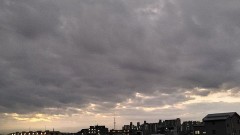 【お題日記】好きな刑事ドラマ