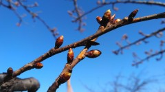 【お題日記】最近ハマってる動画