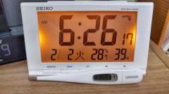 【お題日記】さっぽろ雪まつり行ったことある？