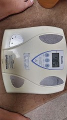 【お題日記】何か植物育ててる？