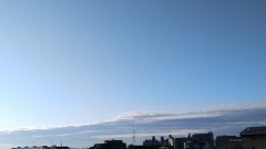 【お題日記】オークションでこんな物を手に入れました