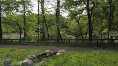 【お題日記】好きなお笑い芸人ベスト3教えて