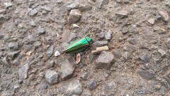 【お題日記】攻め派？受け派？