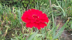 【お題日記】自分で脱ぐ？or脱がされたい？