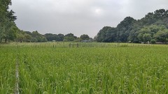 【お題日記】いつもチェックしているサイト