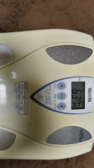 【お題日記】無人島に持っていくならどんなオモチャ？