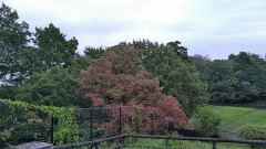 【お題日記】もっと勉強しておけばよかったと思う教科