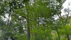 【お題日記】相手のココをチェックしちゃう