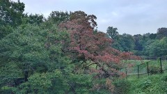 【お題日記】相手を守ってあげたくなった瞬間