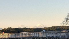 【お題日記】大人になって克服した食べ物