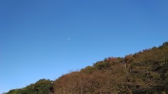 【お題日記】最中に激怒されたことある？