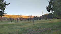 【お題日記】僕、私の節約術