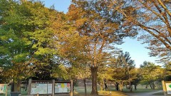 【お題日記】我が家の最新機器