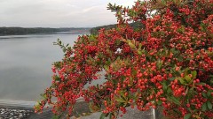 【お題日記】仮装したままHしたことある？