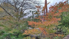 【お題日記】ハロウィンの予定は？