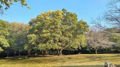 【お題日記】今年試してみたい防寒グッズ