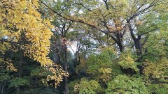 【お題日記】ボランティア活動したことある？