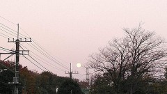 【お題日記】Hの時されて気持ちよかったこと